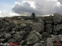 Anna na murach cyklopowych w okolicy Avranlo, Gruzja (lekki deszcz w k... Anna na murach cyklopowych w okolicy Avranlo (lekki deszcz w kurtce Taghia)